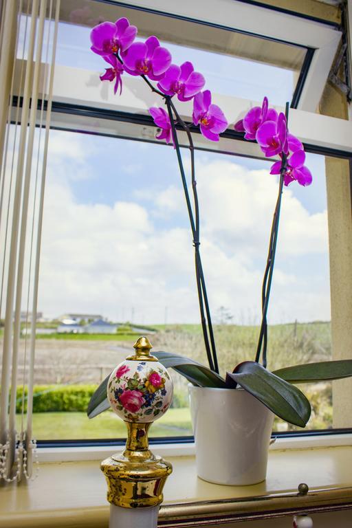 Bed and Breakfast Eagle Heights à Enniscrone Extérieur photo